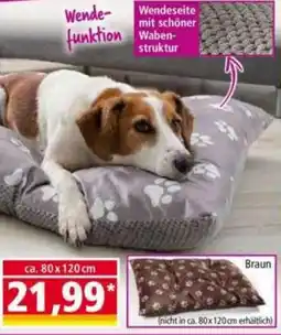 Norma Wendepfote Braun Angebot