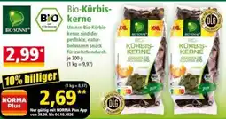 Norma Bio-Kürbiskerne Angebot