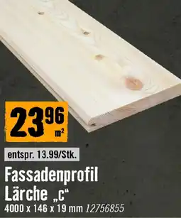 Hornbach Fassadenprofil Lärche „C“ Angebot