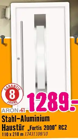 Hornbach ARON Stahl-Aluminium Haustür „Fortis 2000“ RC2 Angebot