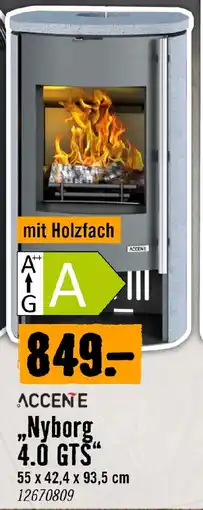 Hornbach ACCENTE Kaminöfen Nyborg 4.0 GTS Angebot