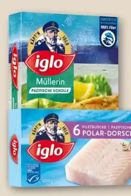 MPreis Iglo Polardorsch Angebot