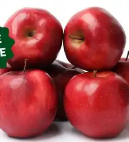 MPreis Äpfel Gala Angebot