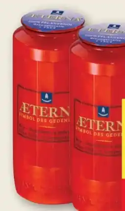 MPreis Aeterna Bio-Grablicht Angebot