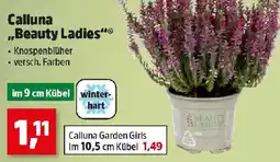 Thomas Philipps Calluna Beauty Ladies Angebot