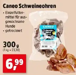 Thomas Philipps Caneo Schweineohren Angebot
