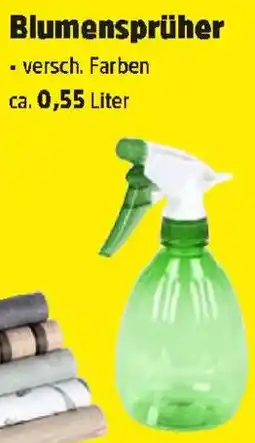 Thomas Philipps Blumensprüher Angebot