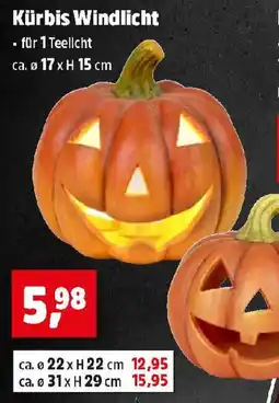Thomas Philipps Kürbis Windlicht Angebot