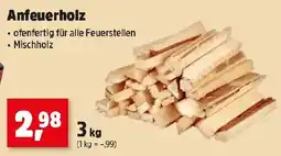 Thomas Philipps Anfeuerholz Angebot