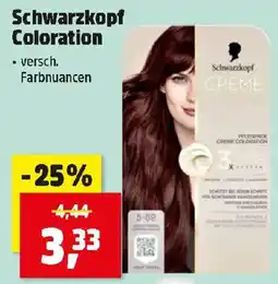Thomas Philipps Schwarzkopf Coloration Angebot