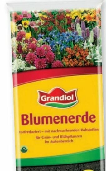 Lidl Blumenerde Angebot