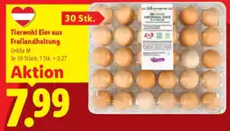 Lidl Tierwohl Eier aus Freilandhaltung Angebot