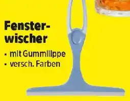 Thomas Philipps Fensterwischer Angebot