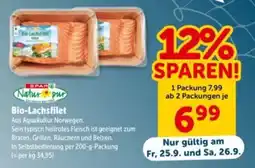 Interspar Bio-Lachsfilet Angebot