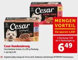 Interspar Cesar Hundenahrung Angebot