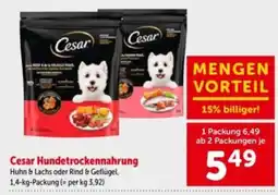 Interspar Cesar Hundetrockennahrung Angebot