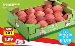 Hofer Äpfel XXL in der Steige Angebot