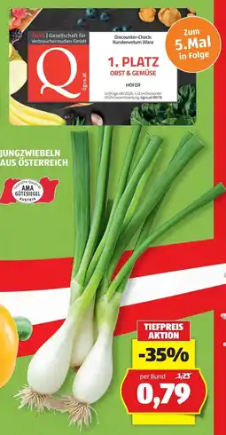 Hofer Jungzwiebeln aus Österreich Angebot