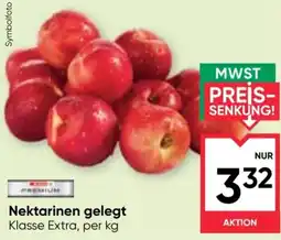 Maximarkt Nektarinen gelegt Klasse Extra Angebot