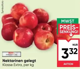 Nektarinen gelegt Klasse Extra