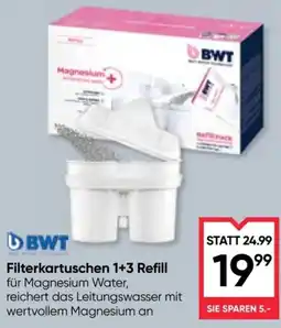 Maximarkt Filterkartuschen 1+3 Refill für Magnesium Water Angebot