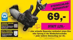 Forstinger Steinschlag-Reparatur Angebot
