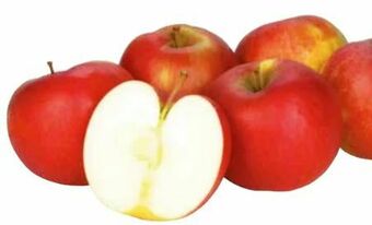 Transgourmet Äpfel Angebot