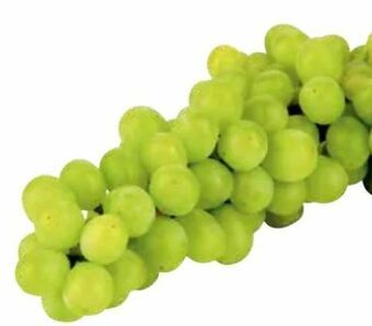Transgourmet Trauben Angebot