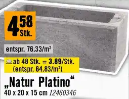 Hornbach FLAIR STONE Beton-Zaunsteine Natur Platino Angebot