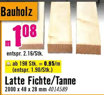 Latte Fichte/Tanne
