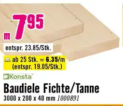 Hornbach Konsta Baudiele Fichte/Tanne Angebot