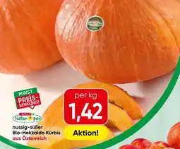 Spar nussig-süßer Bio-Hokkaido Kürbis aus Österreich Angebot