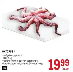 Metro Oktopus Angebot
