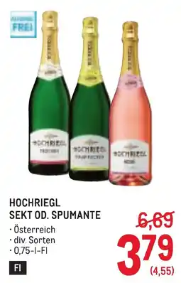 Metro Hochriegl Sekt od. Spumante Angebot