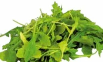 Transgourmet Bio Rucola Angebot