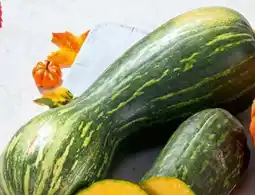 Eurospar Spar Natur pur Bio-Kürbis Angebot