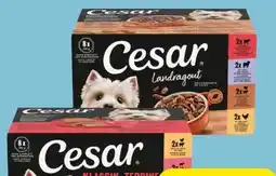 Eurospar Cesar Hundenahrung Angebot