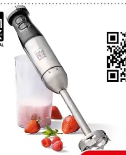 Eurospar Simpex Professional Edelstahl-Stabmixer Le Chef Angebot