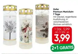 Eurospar Hofer Kerzen Premium Motivlicht Angebot