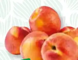 SPAR Gourmet Despar Premium Nektarinen Angebot