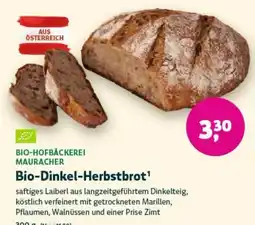 Denn's Biomarkt Bio-Hofbäckerei Mauracher Bio-Dinkel-Herbstbrot Angebot
