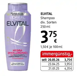 dm ELVITAL Shampoo Angebot