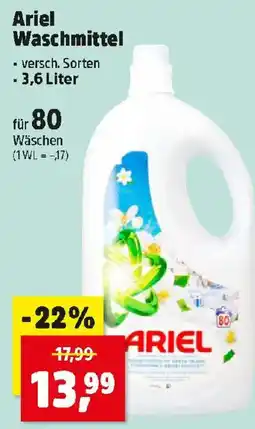 Thomas Philipps Ariel Waschmittel Angebot