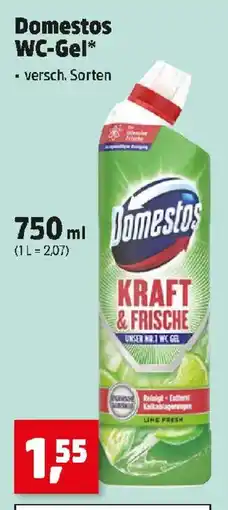 Thomas Philipps Domestos WC-Gel Angebot
