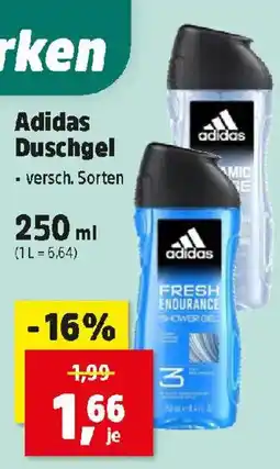 Thomas Philipps Adidas Duschgel Angebot