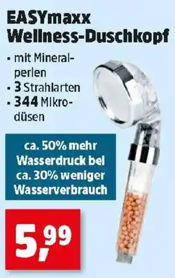 Thomas Philipps EASYmaxx Wellness-Duschkopf Angebot