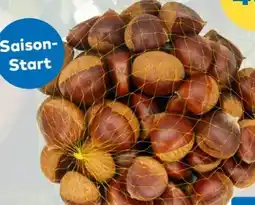 T&G Kastanien Angebot