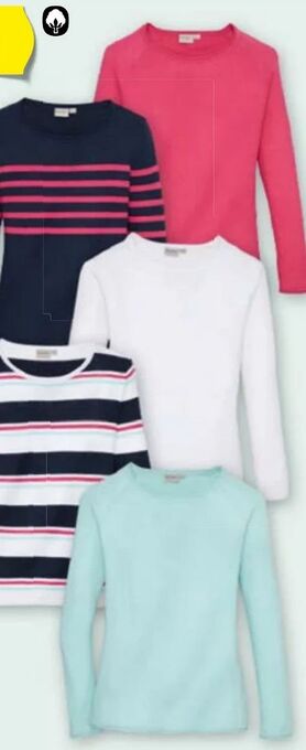 Hofer Damen-Pullover Angebot