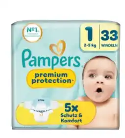 dm Pampers Premium Protection Windeln Angebot