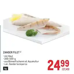 Metro ZANDER FILET Angebot